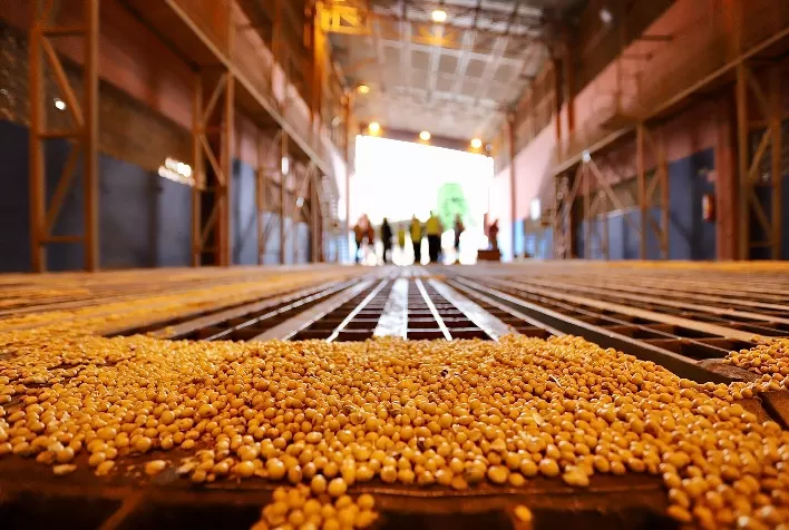 Comitiva do GT Ferrovias visita o Porto de Paranaguá