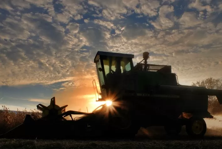 Colheita de soja no Brasil avança "bem" para 9% da área, diz AgRural