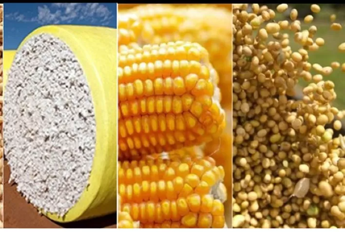 Mercado de Commodities Agrícolas – Um Novo Boom?