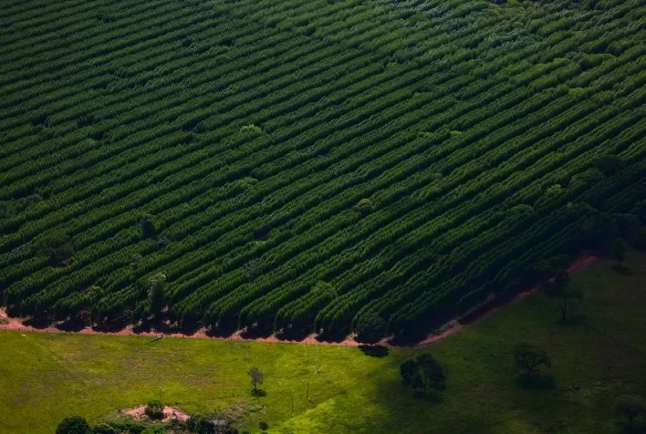 Suzano está com sete vagas de emprego abertas em Água Clara e Três Lagoas