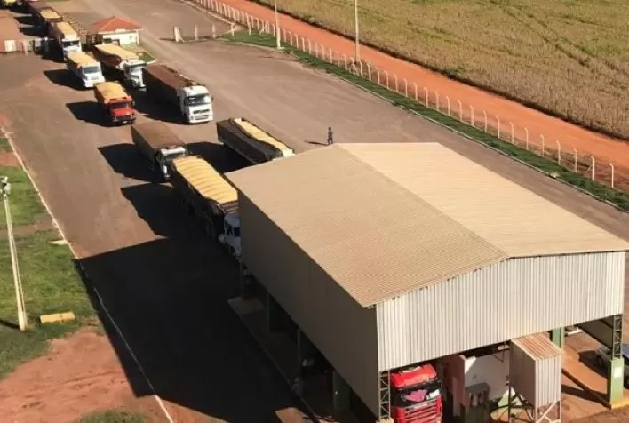 Cocamar começa a receber a maior safra de soja