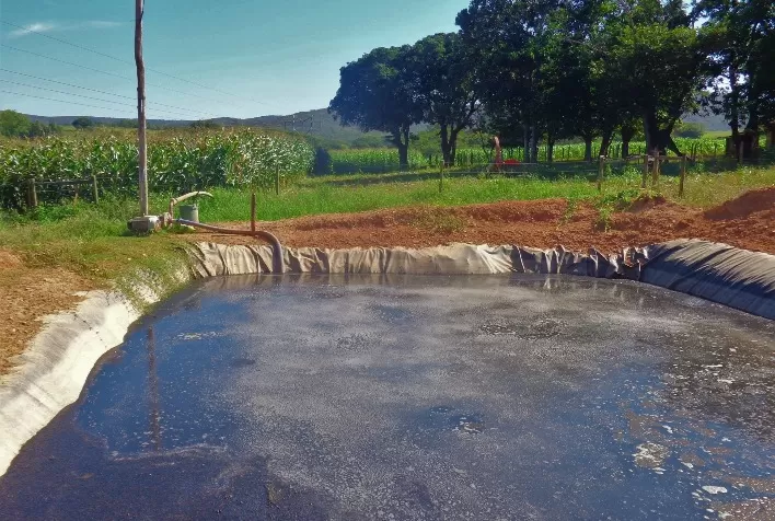 Tratamento de dejetos bovinos gera renda e sustentabilidade ambiental no Norte de Minas