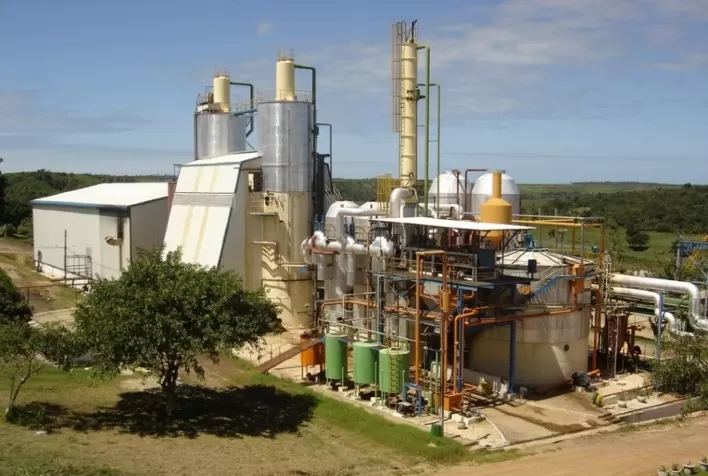 Pindorama deve ter crescimento de 5% na safra 20/21