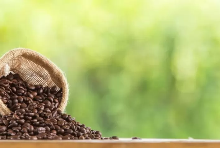 Conab: Estoques de café certificado em Nova Iorque estão em alta