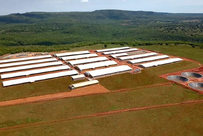 Cooasgo inicia povoamento da Granja Rio Verde, uma das mais modernas do Brasil