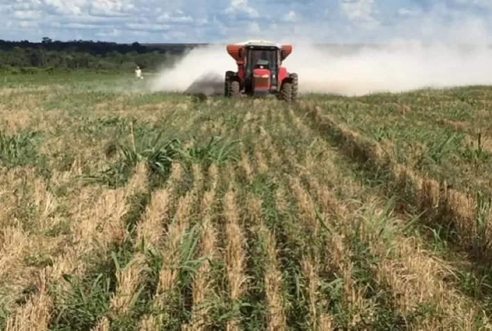 Calcário impulsiona produtividade em áreas de integração lavoura-pecuária