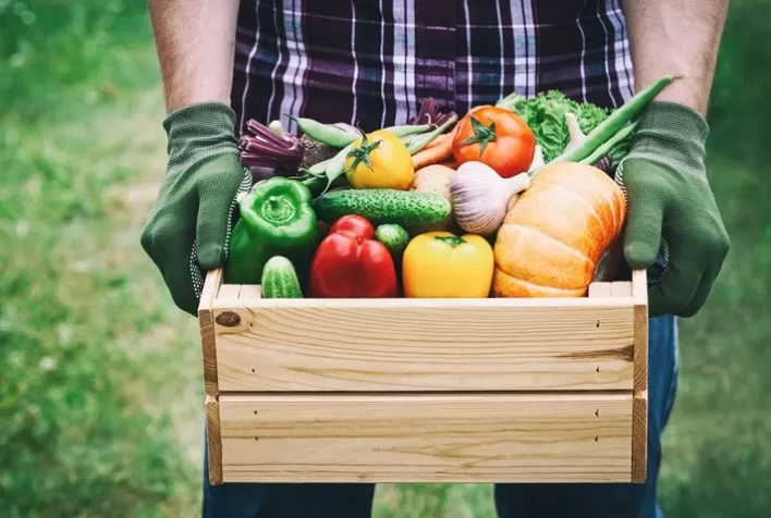 Índia estabelece novas exigências para importação de 24 produtos vegetais