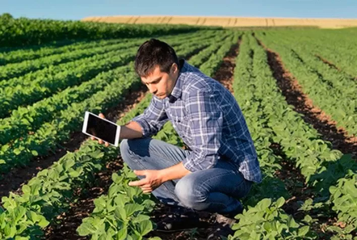 Bayer cria iniciativas para capacitação e desenvolvimento do mercado profissional de pragas urbanas