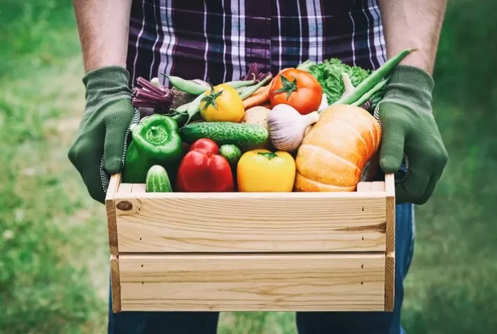 Brasil avança em qualidade e segurança dos alimentos segundo estudo conduzido em 113 países