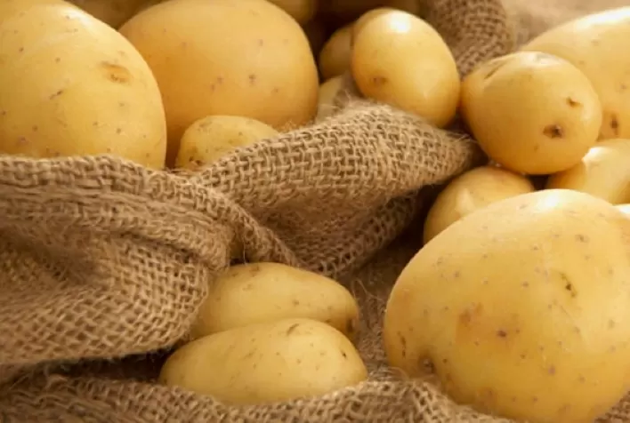 Ingrediente essencial do prato do brasileiro, a batata enfrenta desafios no campo