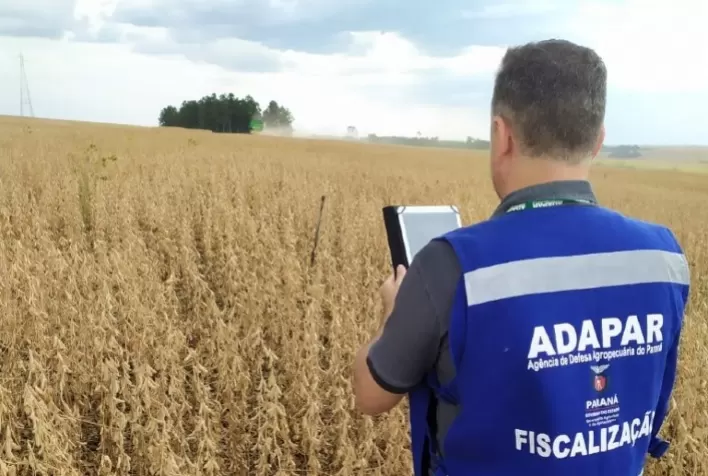 Adapar intensifica fiscalização da colheita da soja