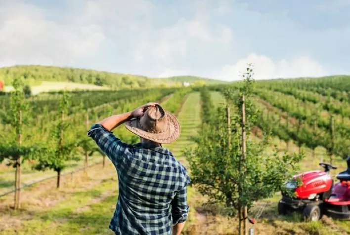 Subvenção para seguro rural pode trazer tecnologia ao campo, diz especialista