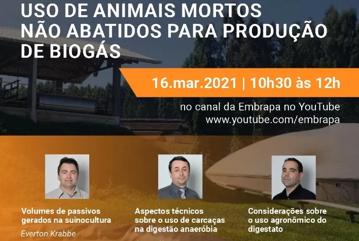Embrapa realiza webinar sobre o uso de animais mortos para produção de biogás