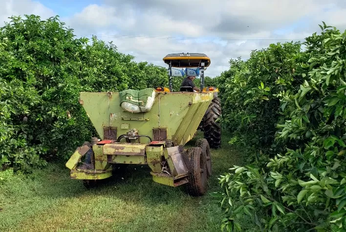 Inteligência artificial de startup ajuda fruticultores no manejo do pomar