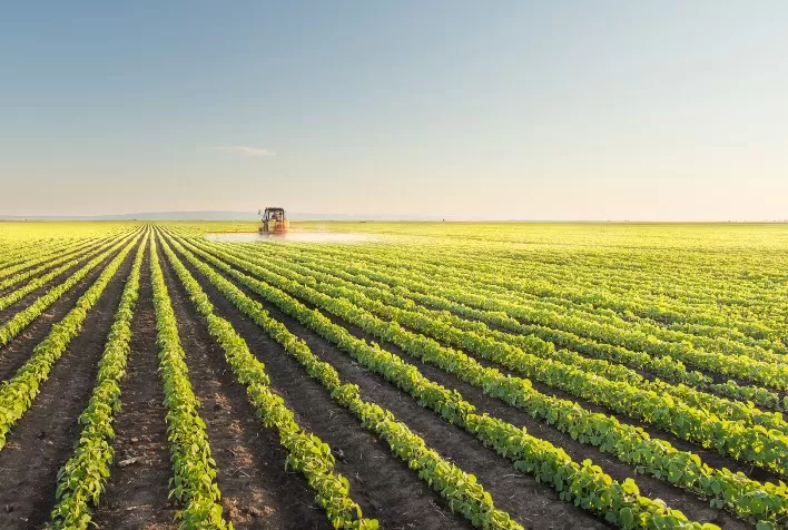 Valor do mercado de defensivos agrícolas aplicados recua 10,4% em 2020