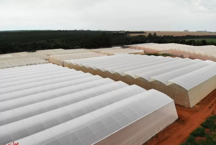 Brasil é destaque internacional no segmento de cultivo protegido