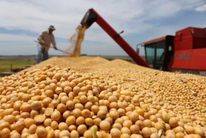 Soja: Bolsa de Chicago trabalha com estabilidade nesta 5ª feira à espera de novidades