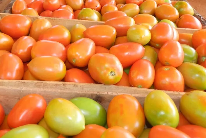 Demanda pressiona cotações do tomate