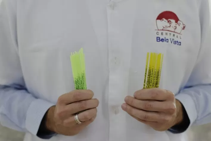 Central Bela Vista inova ao usar cores para diferenciar palhetas de sêmen para touros de leite e de corte