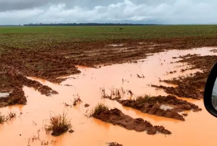 Aprosoja busca alternativas para diminuir prejuízos causados pelas chuvas