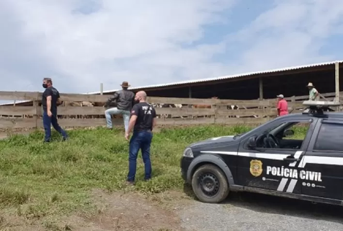 Furto de gado aumenta em Santa Catarina e preocupa pecuaristas
