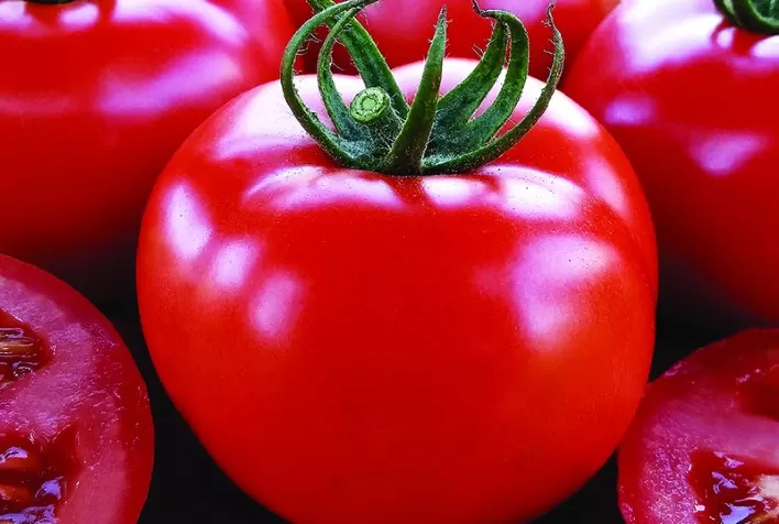 Tomate: Com menor oferta, preço sobe nos atacados de SP