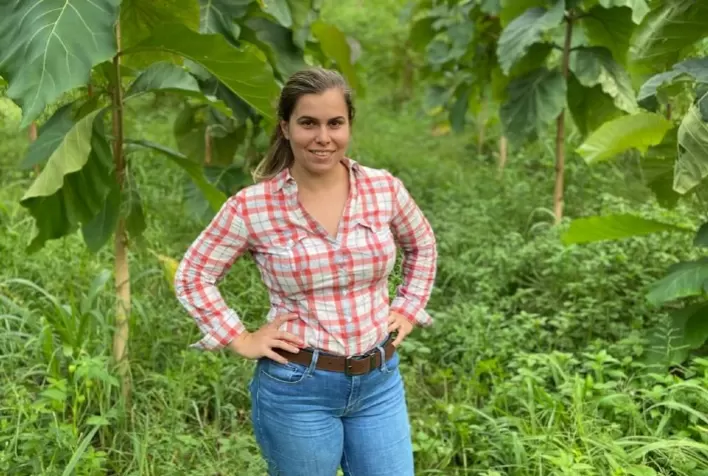 Produtora realiza três safras por ano com uso de pivôs