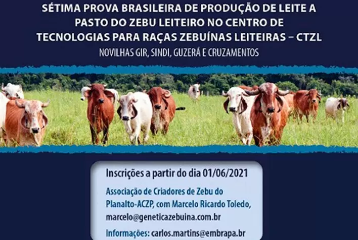 7ª Prova de Leite a Pasto da Embrapa no DF abre inscrições em junho