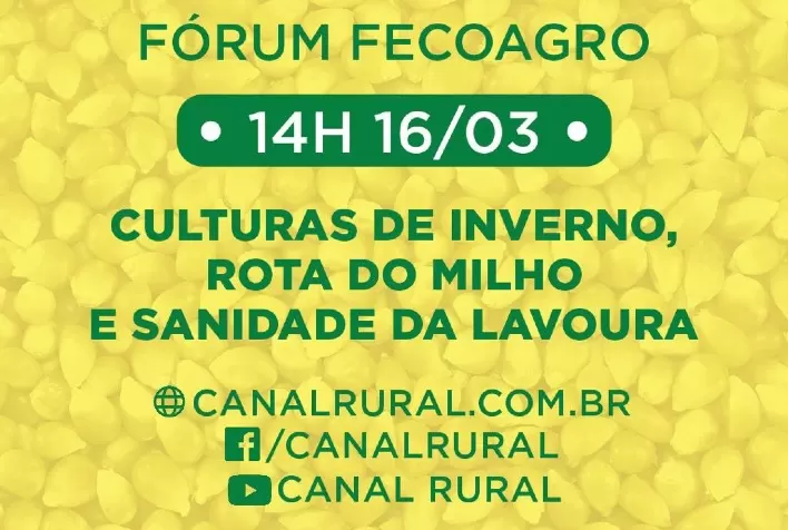 Projeto Mais Milho: Em debate a complexa questão do suprimento de milho para SC