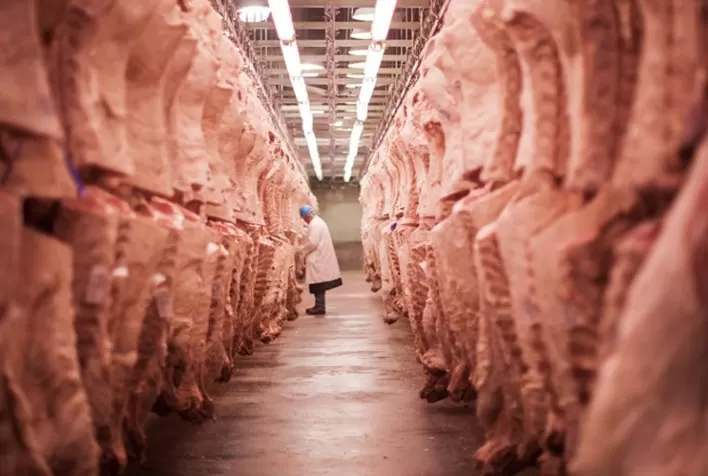 Exportações de totais de carne bovina têm queda de 5% em fevereiro