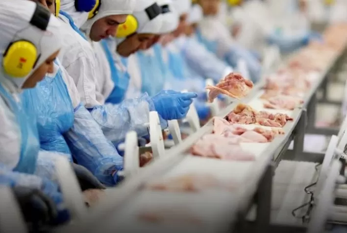 Cooperativas agropecuárias impulsionam economia de SC