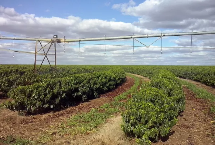 Área irrigada por pivôs centrais no Brasil atinge 1,6 milhão de hectares