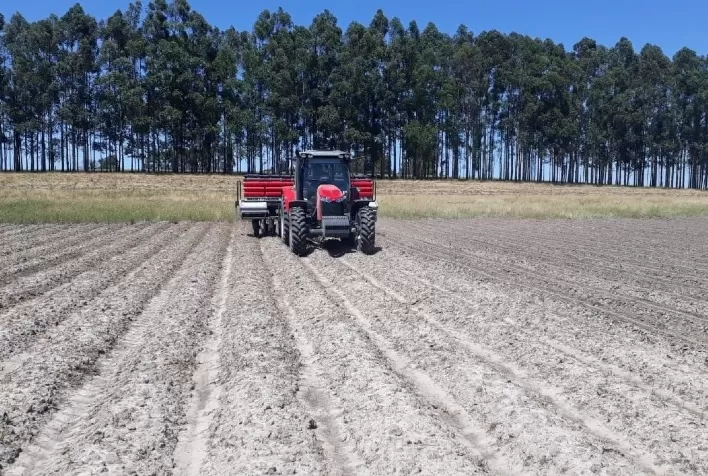 Massey Ferguson contribui com projeto de plantio de soja em terras baixas