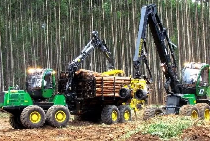 Brasileiros mudam para o Canadá para operar máquinas florestais