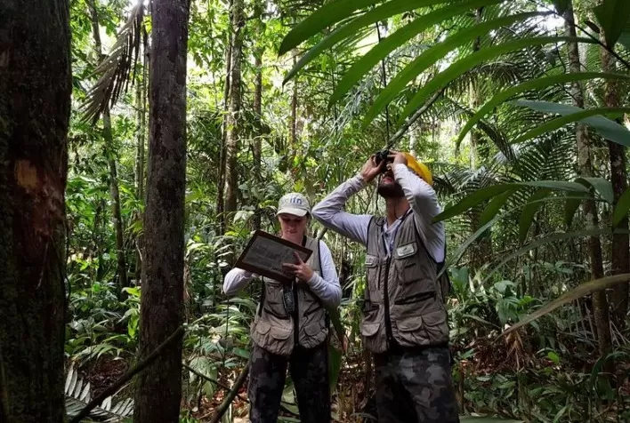 Serviço Florestal Brasileiro realiza IFN no sudeste do Amazonas