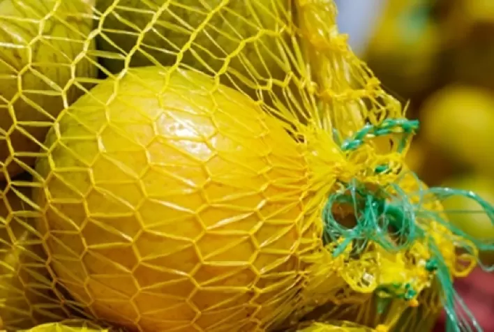 Citros: Mesmo com demanda limitada, preço da laranja tem leve alta