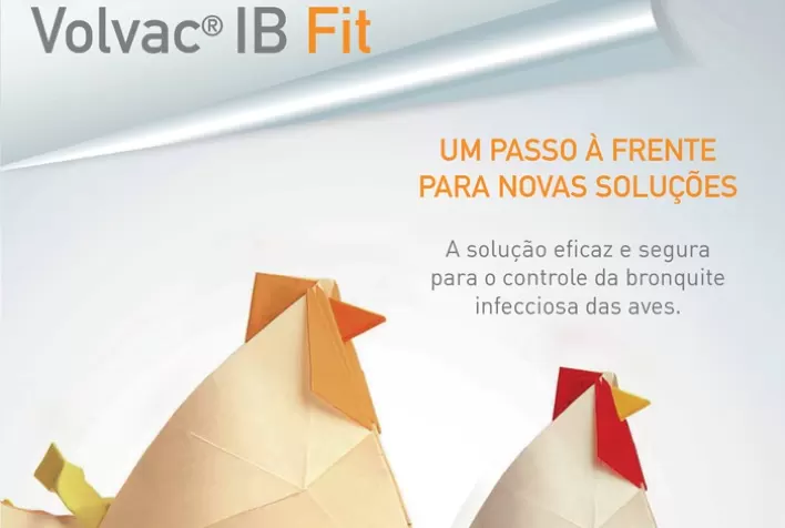 Boehringer Ingelheim Saúde Animal lança vacina altamente eficaz para bronquite infeciosa em aves no Brasil