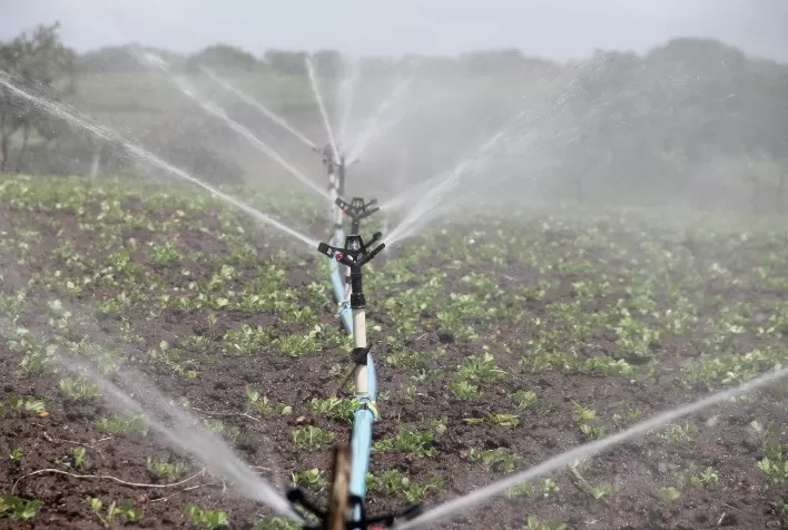 Dachser Argentina mantém a água fluindo para as plantações de vinho no país