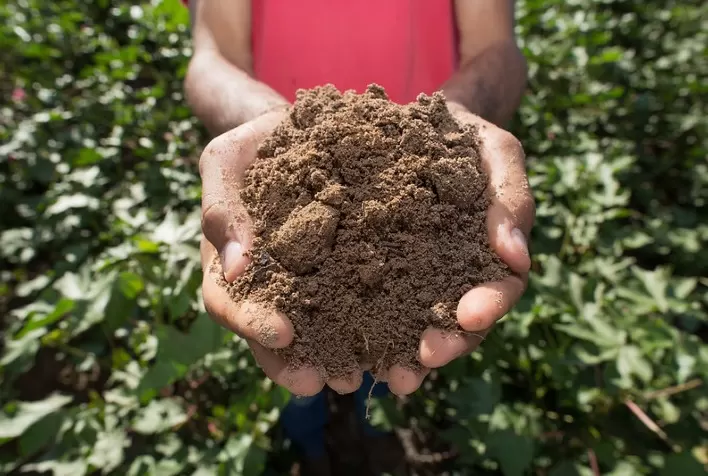 CNA discute produção de bioinsumos on farm