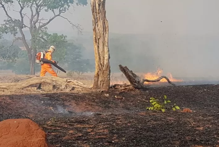 MT prevê investimentos de R$ 73 milhões no combate a incêndios florestais e redução de 30% no desmatamento ilegal