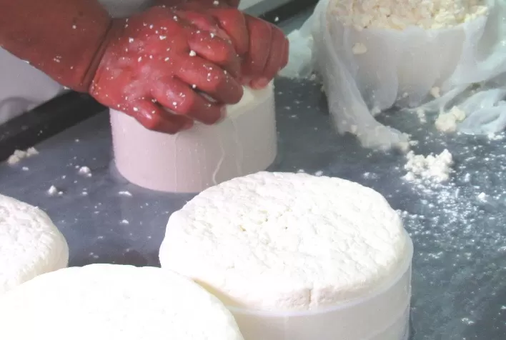 Publicação da EPAMIG orienta sobre cloração e higiene em queijarias