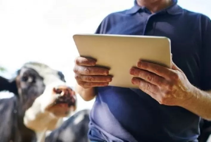 Sistema de gestão para pequenos produtores de leite, Techmilk, chega ao mercado