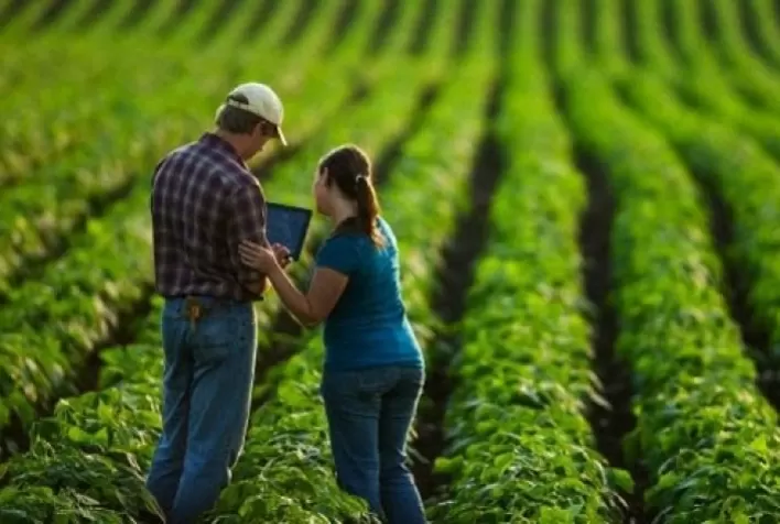 Geração de empregos no AGRO se mantém em janeiro