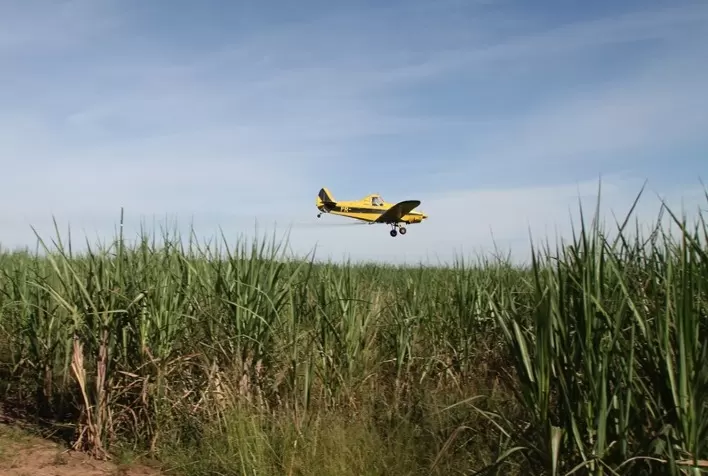 Mercado de agroquímicos para cana-de-açúcar cai 3%