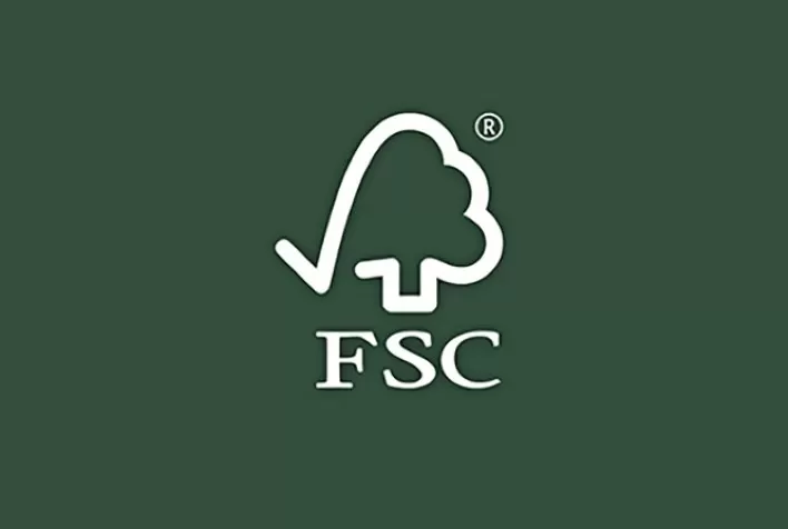 FSC® reforça a importância das florestas em mês repleto de datas comemorativas de meio ambiente