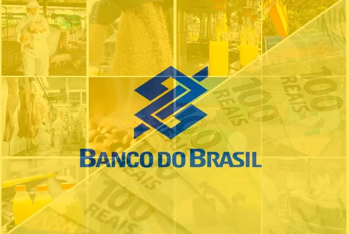 Agricultores catarinenses buscam renegociação de dívidas com o Banco do Brasil