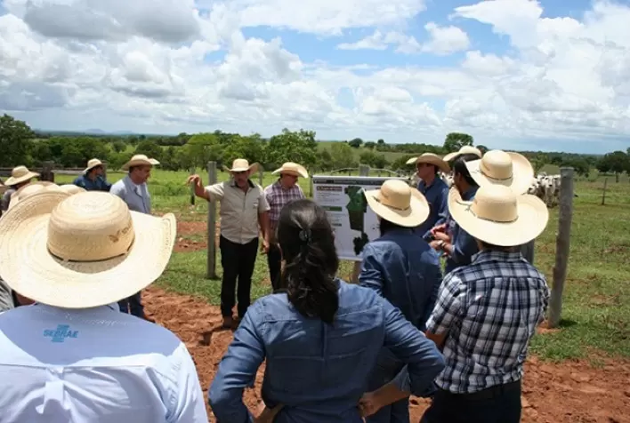 Senar Goiás abre credenciamento para técnicos de campo de Apicultura, Bovinocultura de Leite e Corte