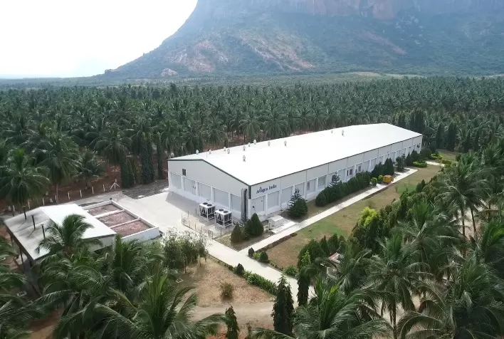 Criando um mundo sustentável: Aviagen reforça seu compromisso de fortalecer a cadeia avícola global com o uso eficiente dos recursos
