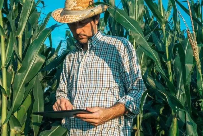 Especialistas internacionais debatem agricultura tropical