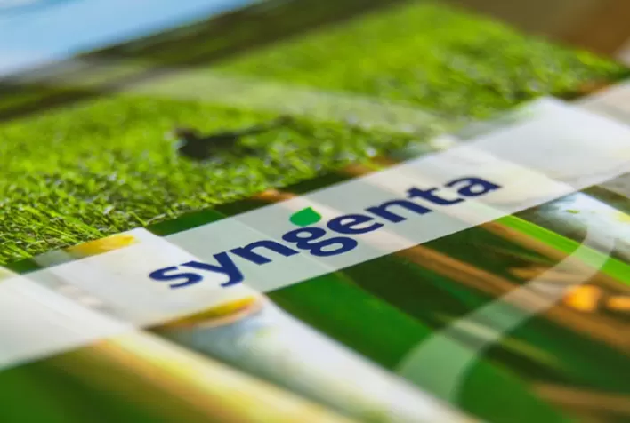 Nova funcionalidade da Syngenta Digital usa inteligência artificial para reconhecimento e contagem das plantas